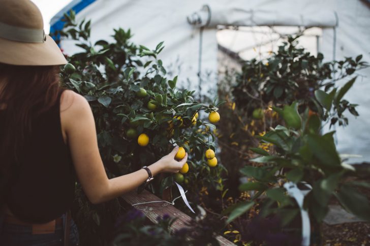 Vrouw die kiest voor een groener leven