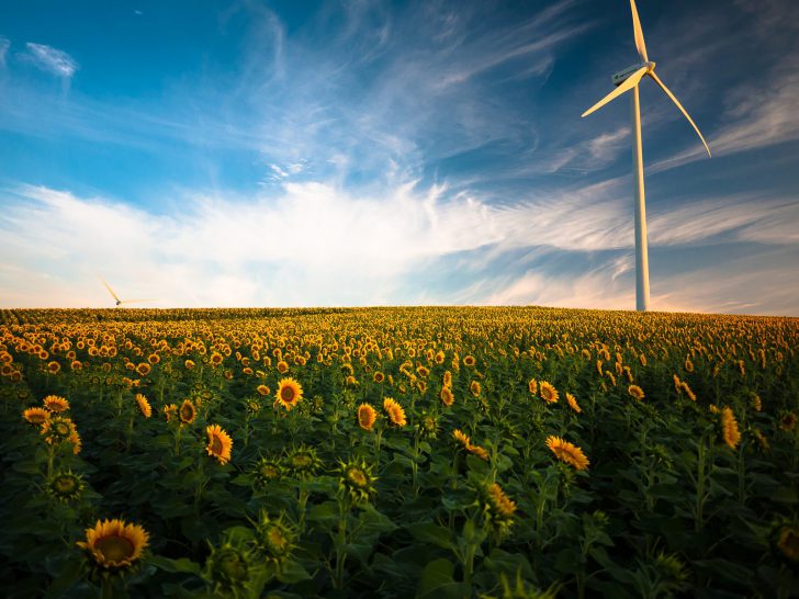 klimaat vlees eten