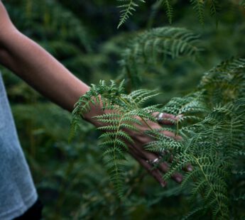 Iemand die in contact komt met de natuur