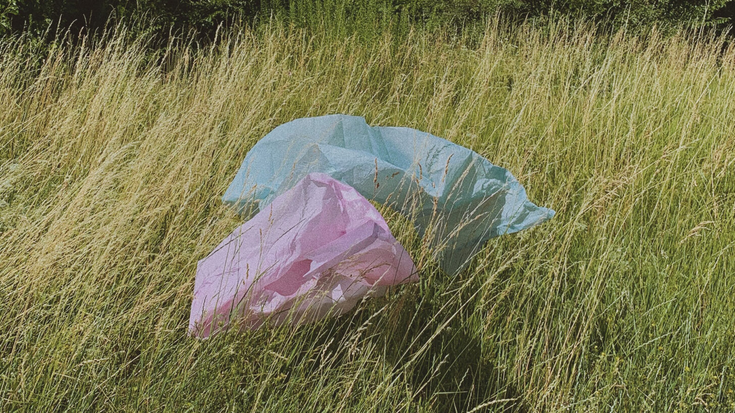 plastic tasjes in de natuur