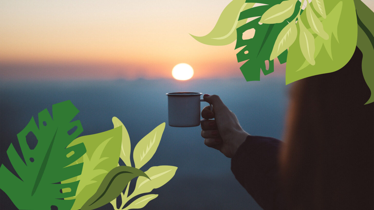 kopje koffie in natuur