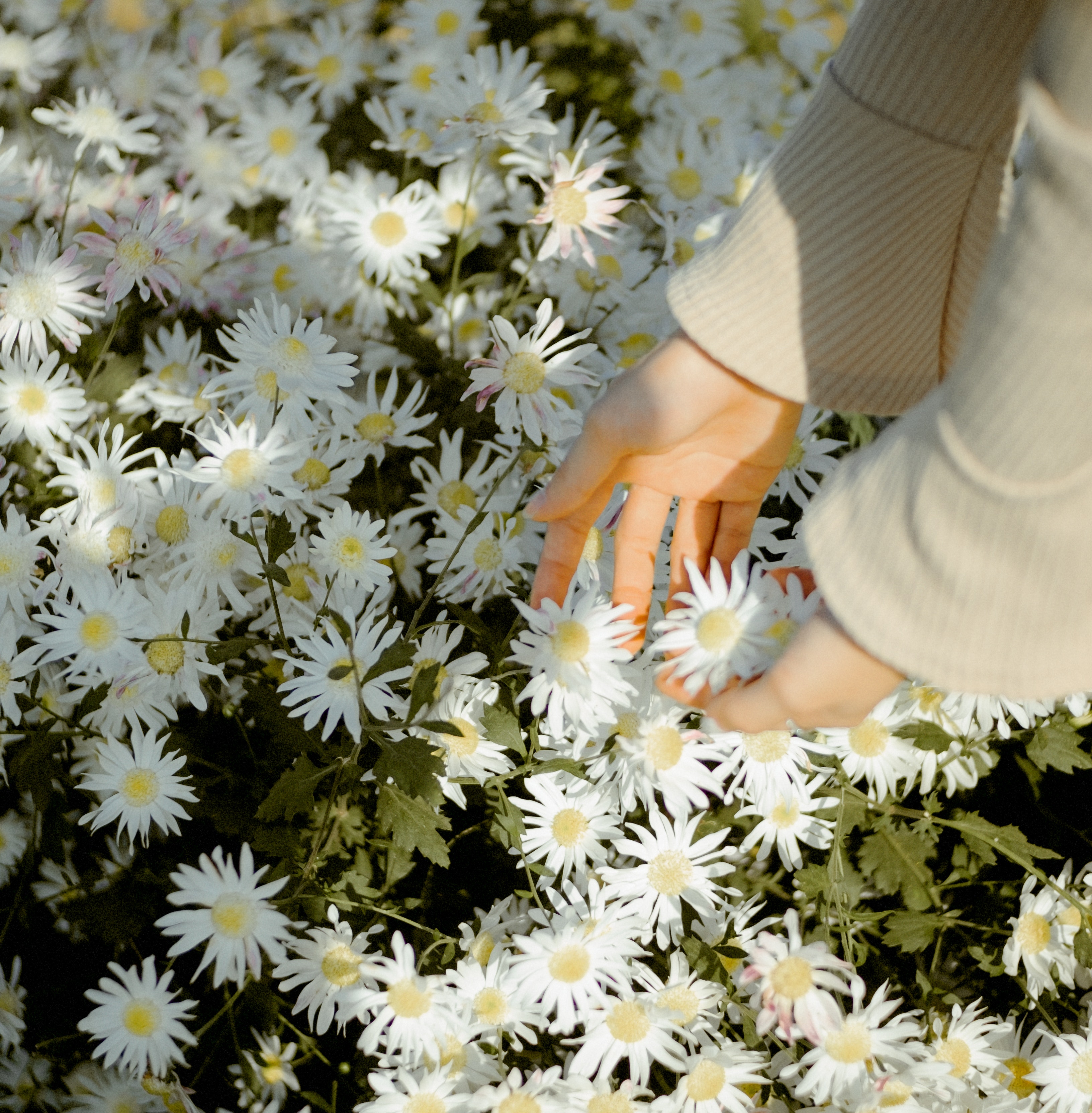 vrouw met bloemen