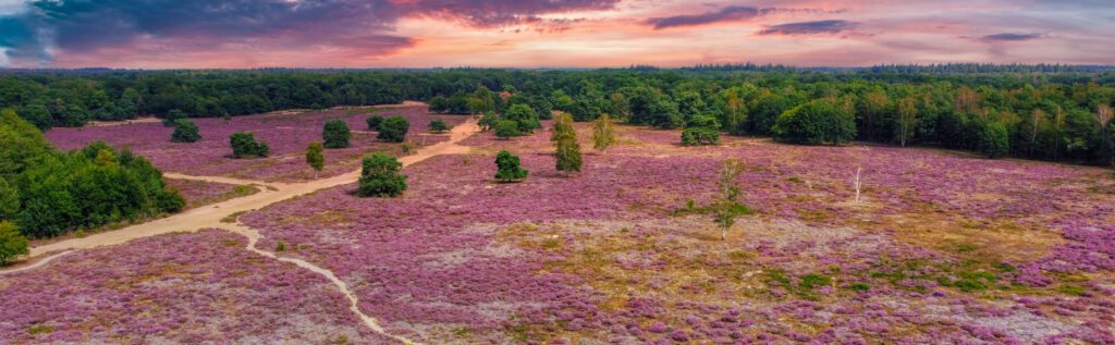 lange wandelroutes Nederland